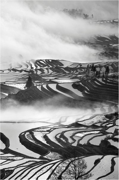 170 - terrace scenery - CHEN Junjie - china.jpg
